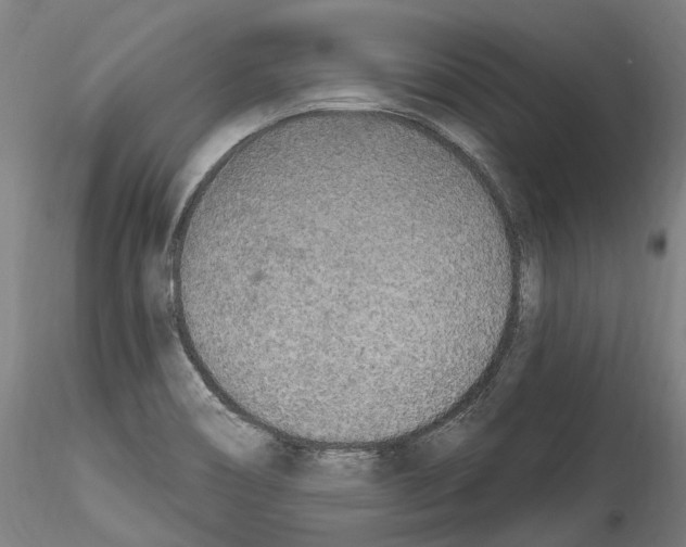 X0000114551466200911301213