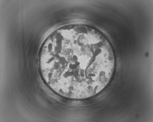X0000114551467200911301213