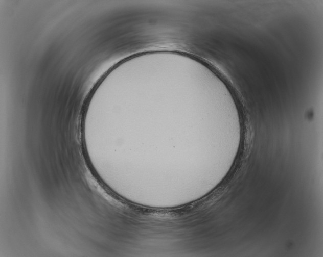 X0000114551468200911301213