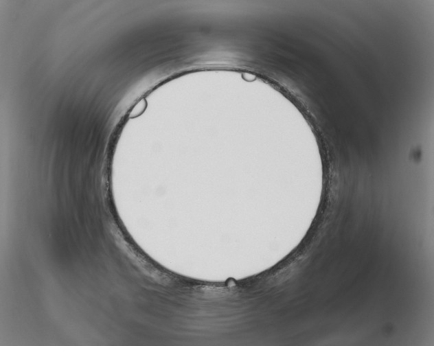 X0000114551469200911301213