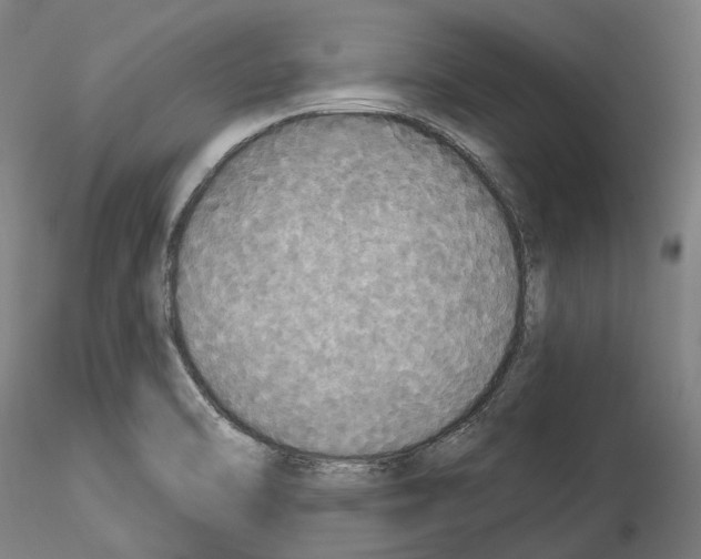 X0000114551470200911301213