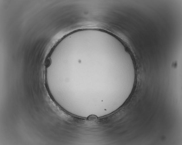 X0000114551472200911301213