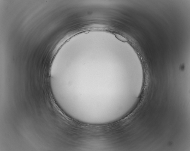 X0000114551473200911301213