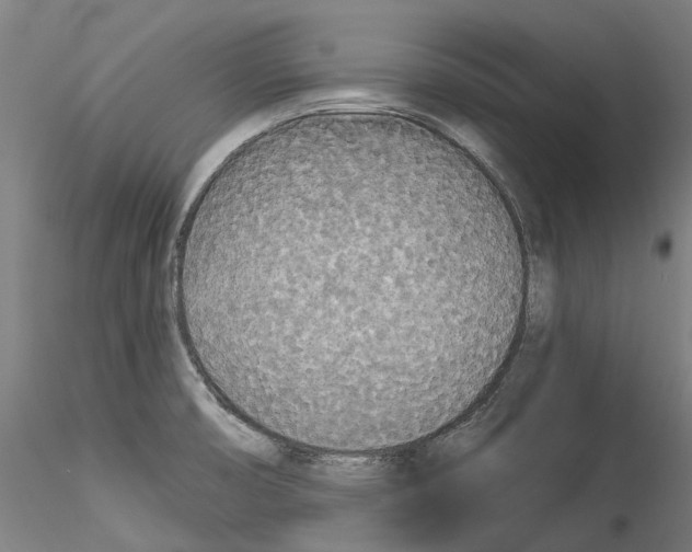 X0000114551474200911301213