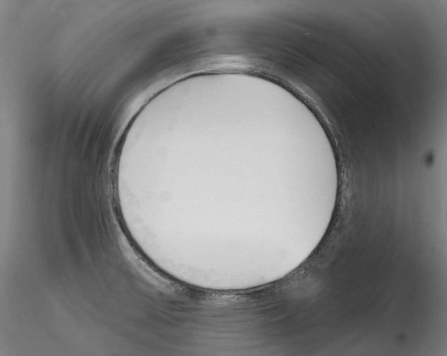 X0000114551475200911301213