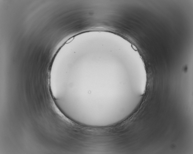 X0000114551476200911301213