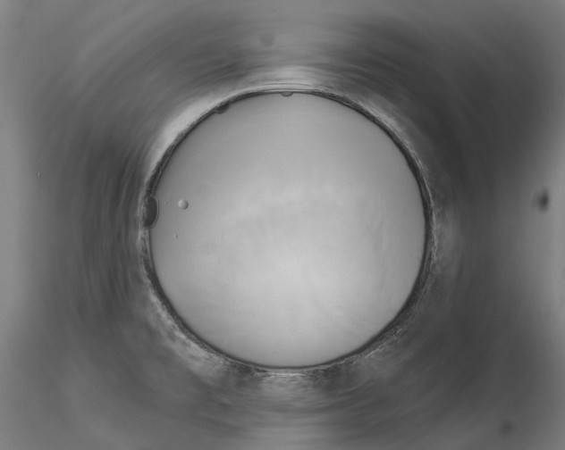X0000114551477200911301213