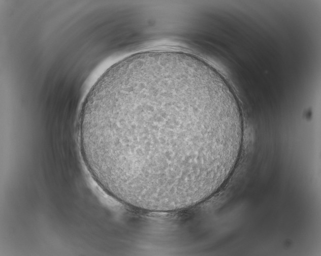 X0000114551478200911301213