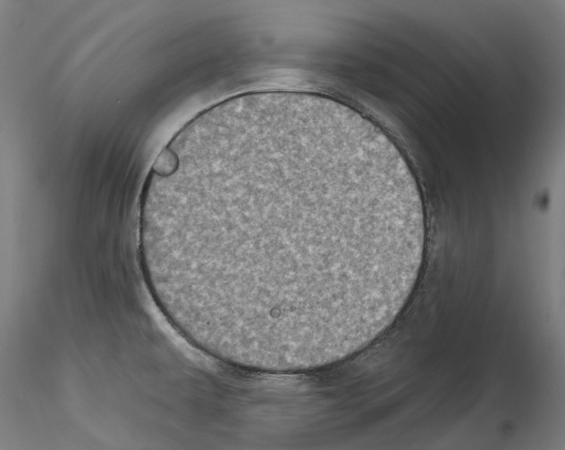 X0000114551479200911301213