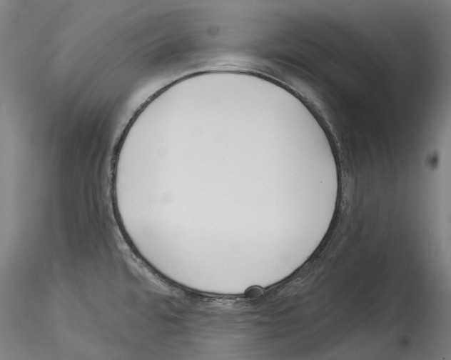 X0000114551480200911301213