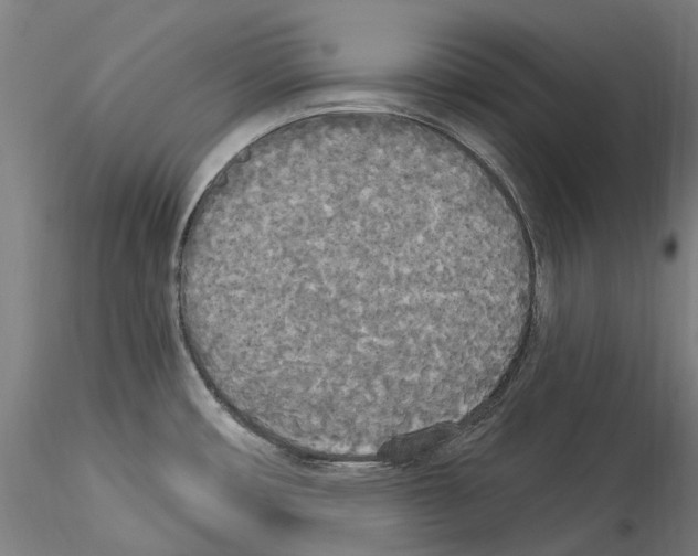 X0000114551482200911301213