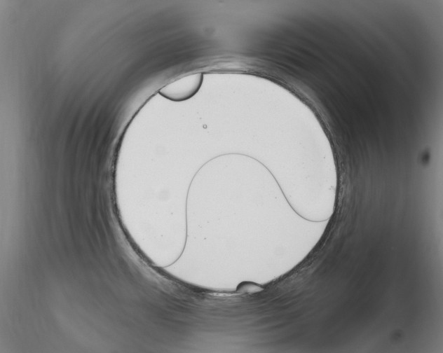X0000114551483200911301213