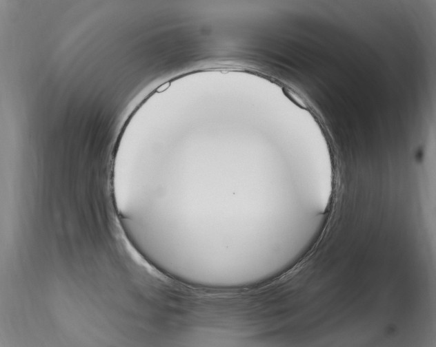 X0000114551484200911301213