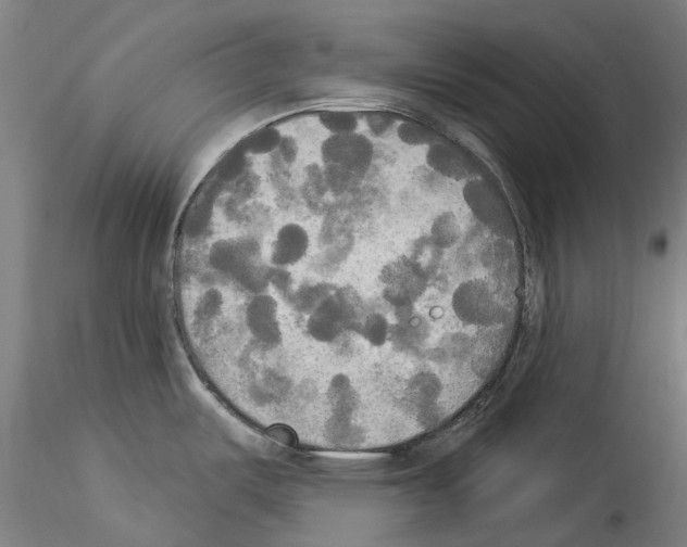 X0000114551487200911301213