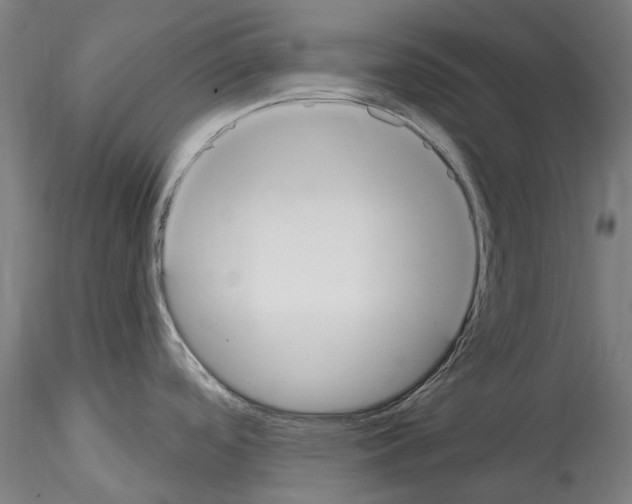 X0000114551488200911301213