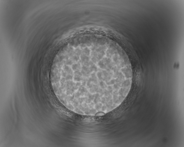 X0000114551489200911301212
