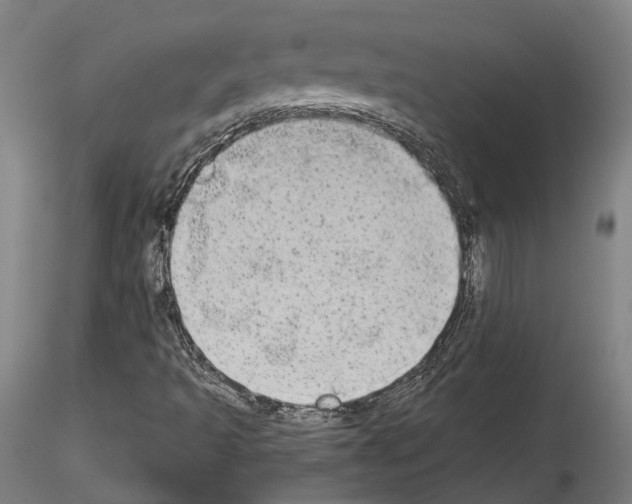 X0000114551493200911301213