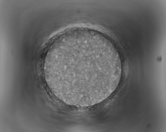 X0000114551494200911301213