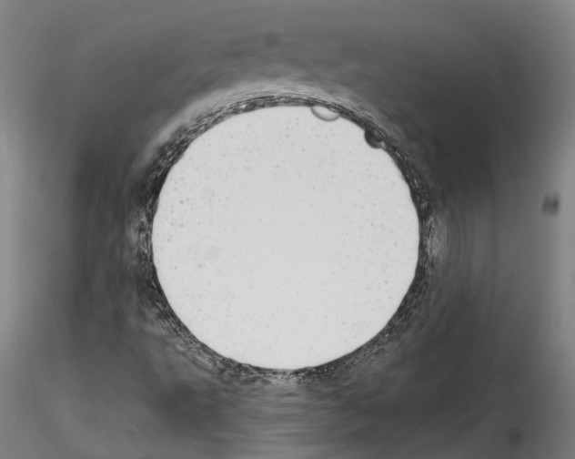 X0000114551495200911301213