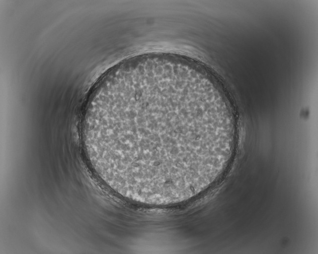 X0000114551497200911301213