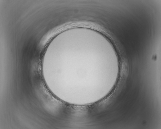 X0000114551498200911301213