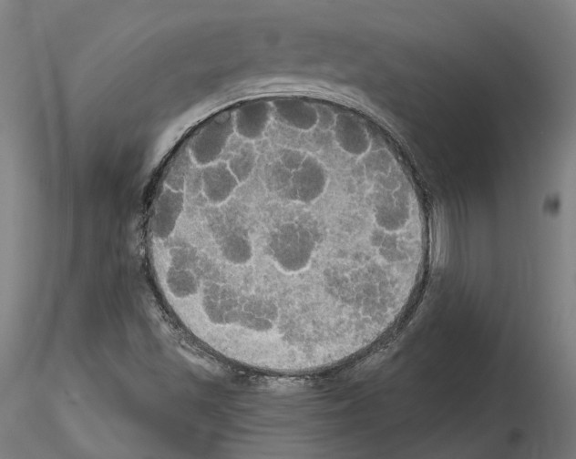 X0000114551501200911301213
