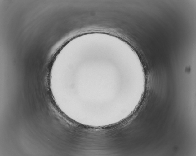 X0000114551502200911301213