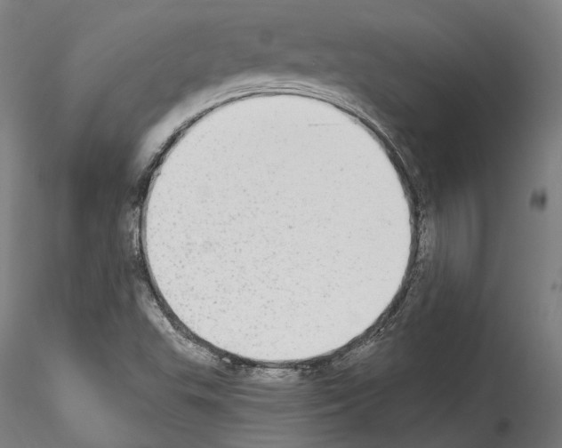 X0000114551503200911301213