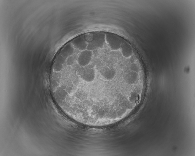 X0000114551505200911301213