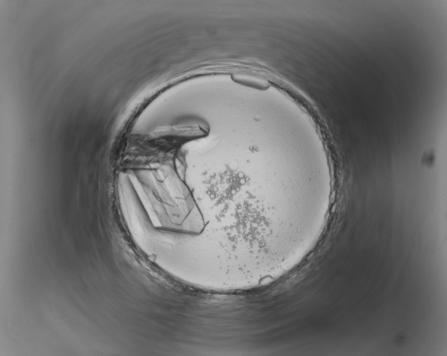 X0000114551506200911301213
