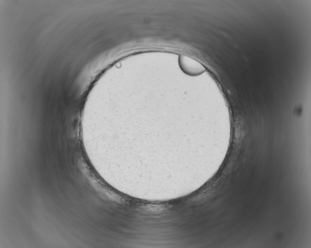 X0000114551507200911301213
