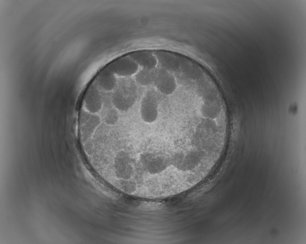X0000114551509200911301213