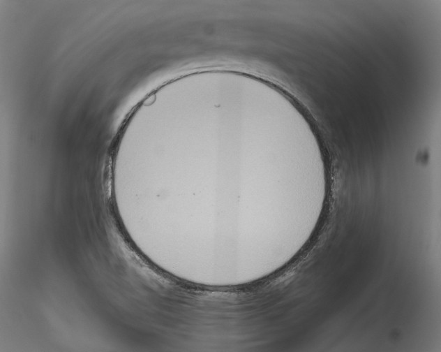 X0000114551510200911301213