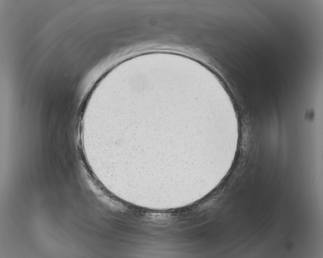 X0000114551511200911301213