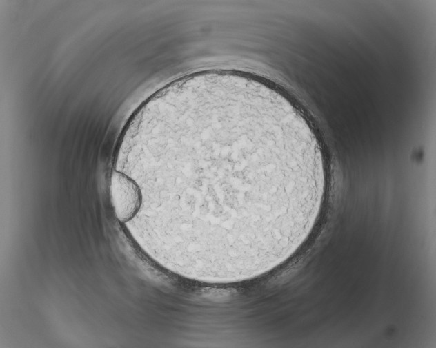 X0000114551513200911301213