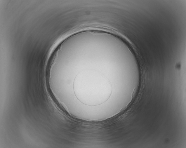 X0000114551514200911301213
