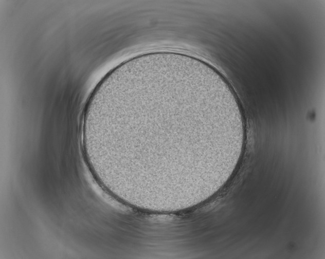X0000114551515200911301213