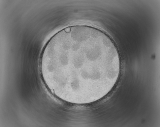 X0000114551517200911301213