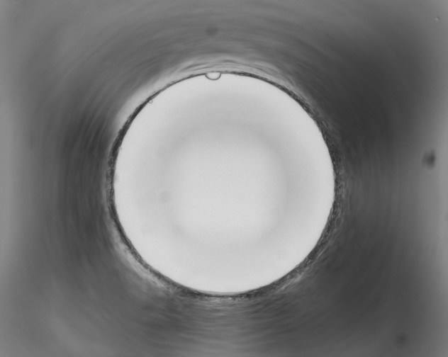 X0000114551518200911301213