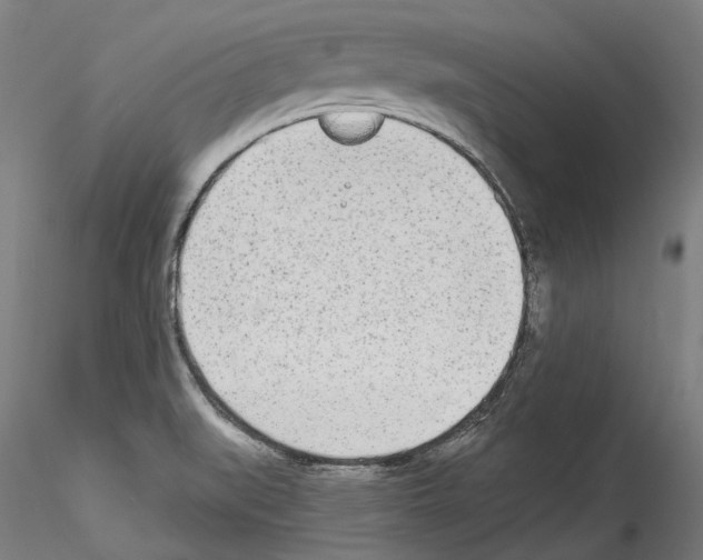 X0000114551519200911301213