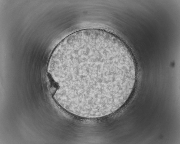 X0000114551521200911301213