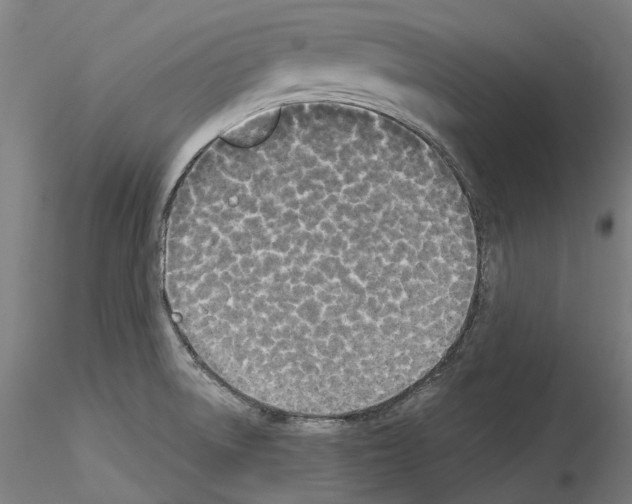 X0000114551522200911301213