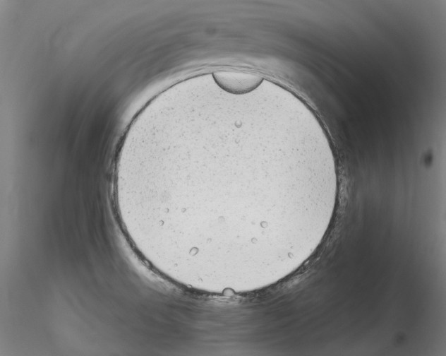 X0000114551523200911301213