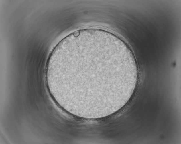 X0000114551525200911301213