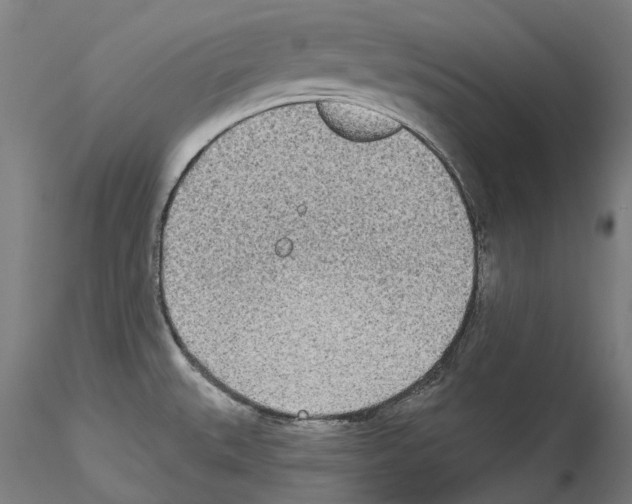 X0000114551527200911301213