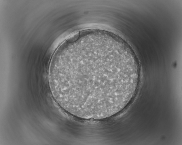 X0000114551529200911301213