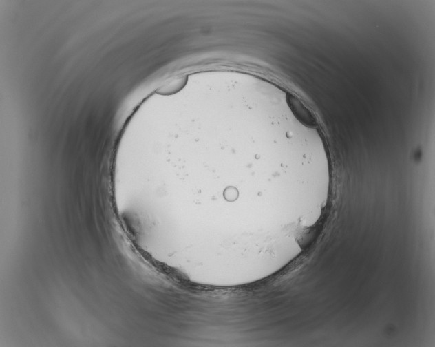 X0000114551530200911301213