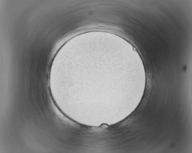 X0000114551531200911301213