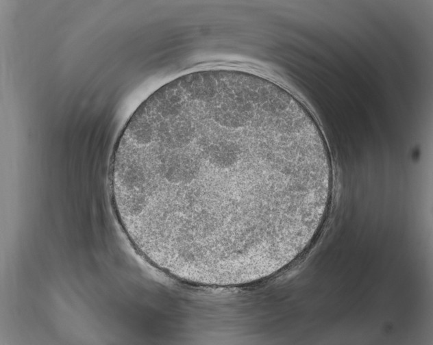 X0000114551533200911301213