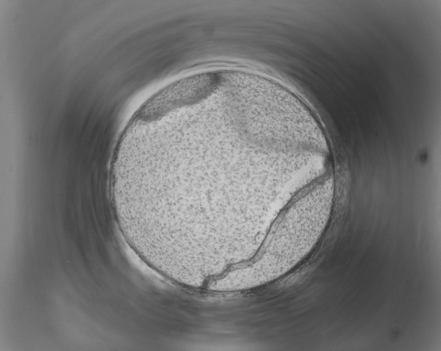 X0000114551535200911301213
